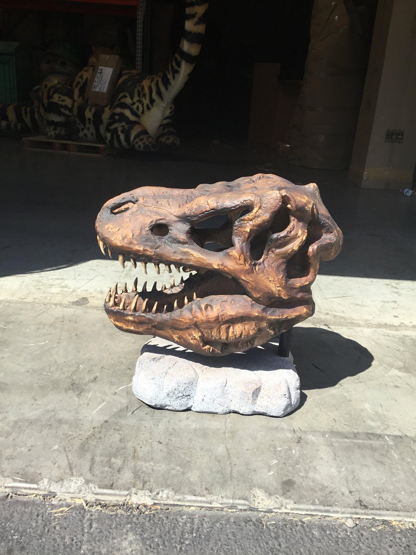 Large T-Rex Skull Statue - LM Treasures Prop Rentals 