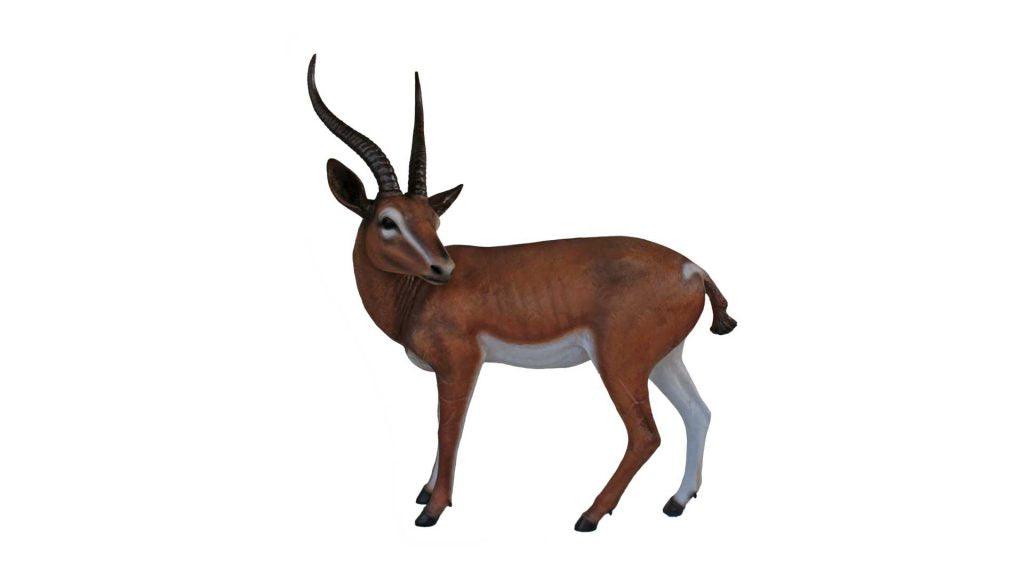 Gazelle Forest Prop Life Size Decor Resin Statue - LM Treasures Prop Rentals 