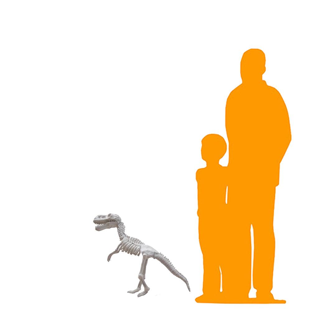 Small T-Rex Dinosaur Skeleton Statue - LM Treasures Prop Rentals 