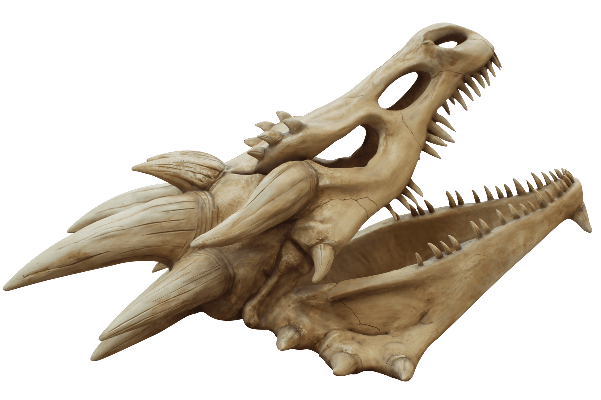 Giant Dragon Skull Statue - LM Treasures Prop Rentals 