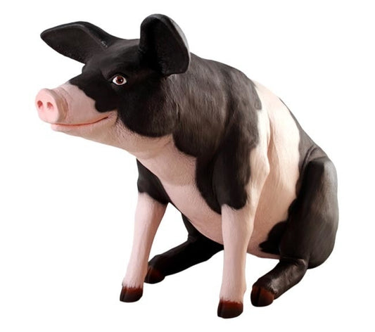 Pig Black And Pink Sitting  Farm Prop Life Size Decor Resin Statue - LM Treasures Prop Rentals 