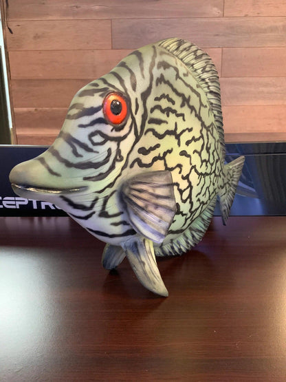 Discus Fish Statue