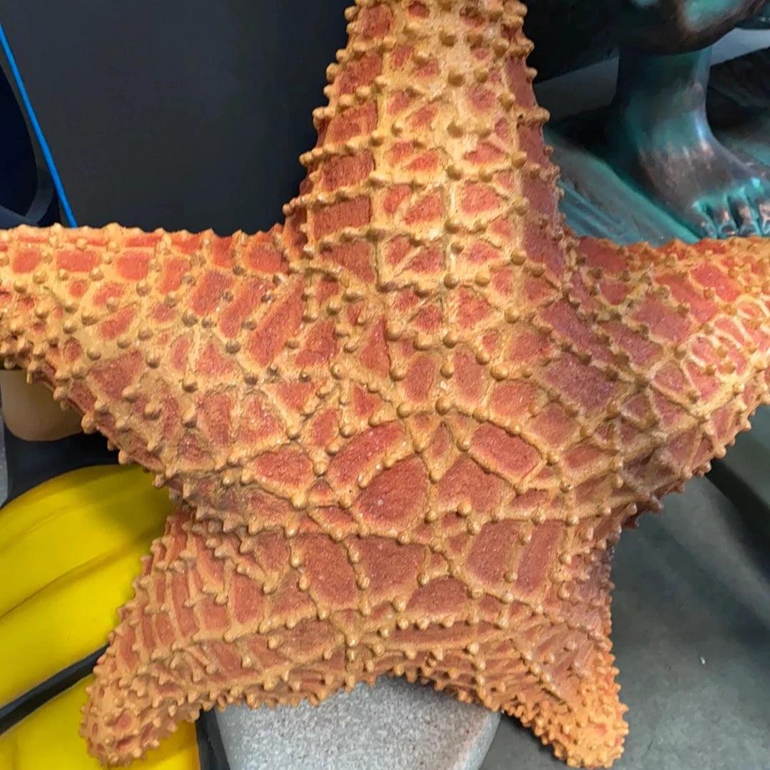 Cushion Starfish Statue - LM Treasures Prop Rentals 