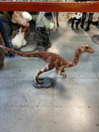 Baby Velociraptor Dinosaur Statue - LM Treasures Prop Rentals 