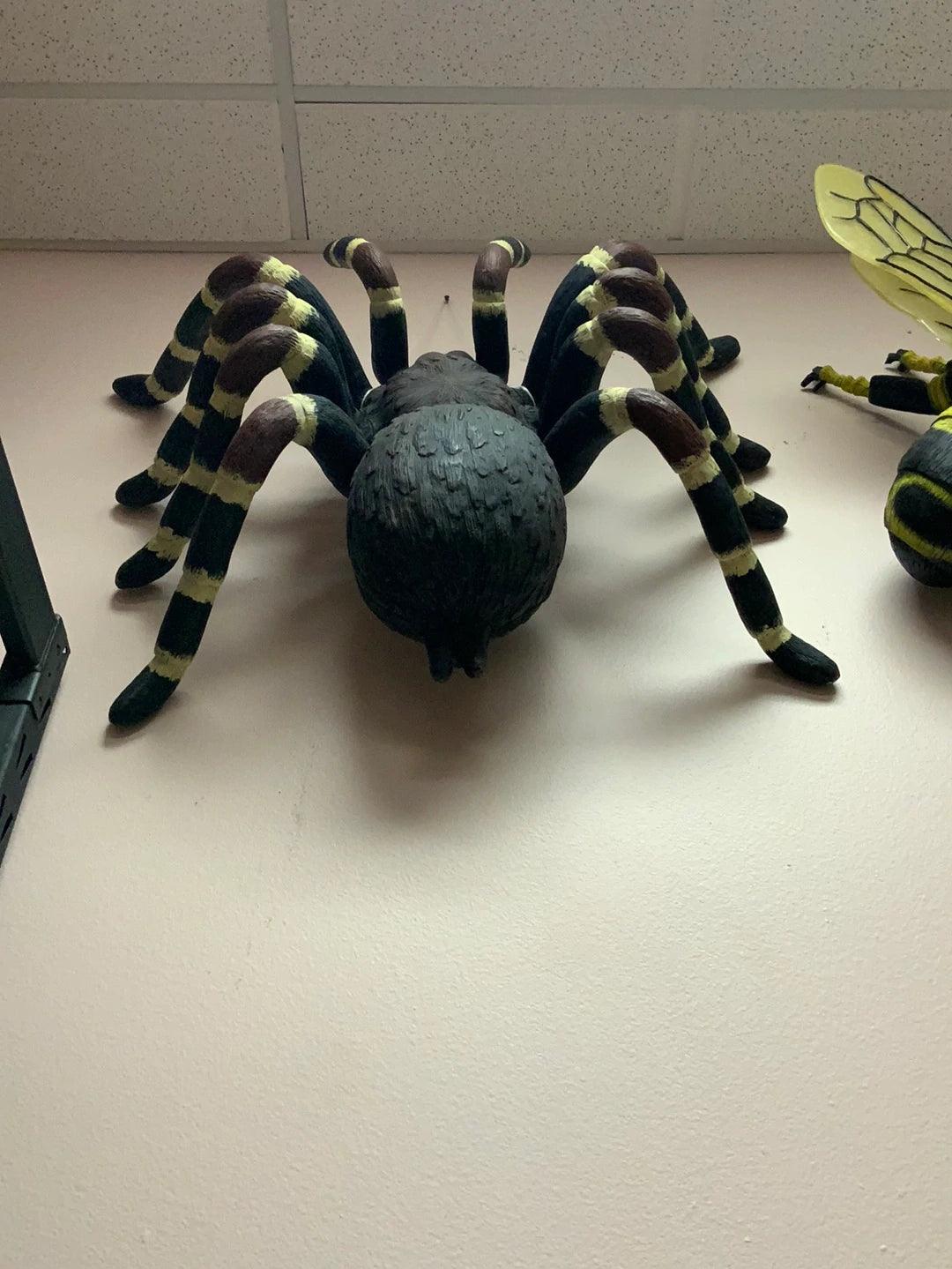 Tarantula Spider Statue - LM Treasures Prop Rentals 