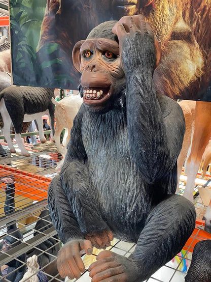 Monkey Max Statue - LM Treasures Prop Rentals 