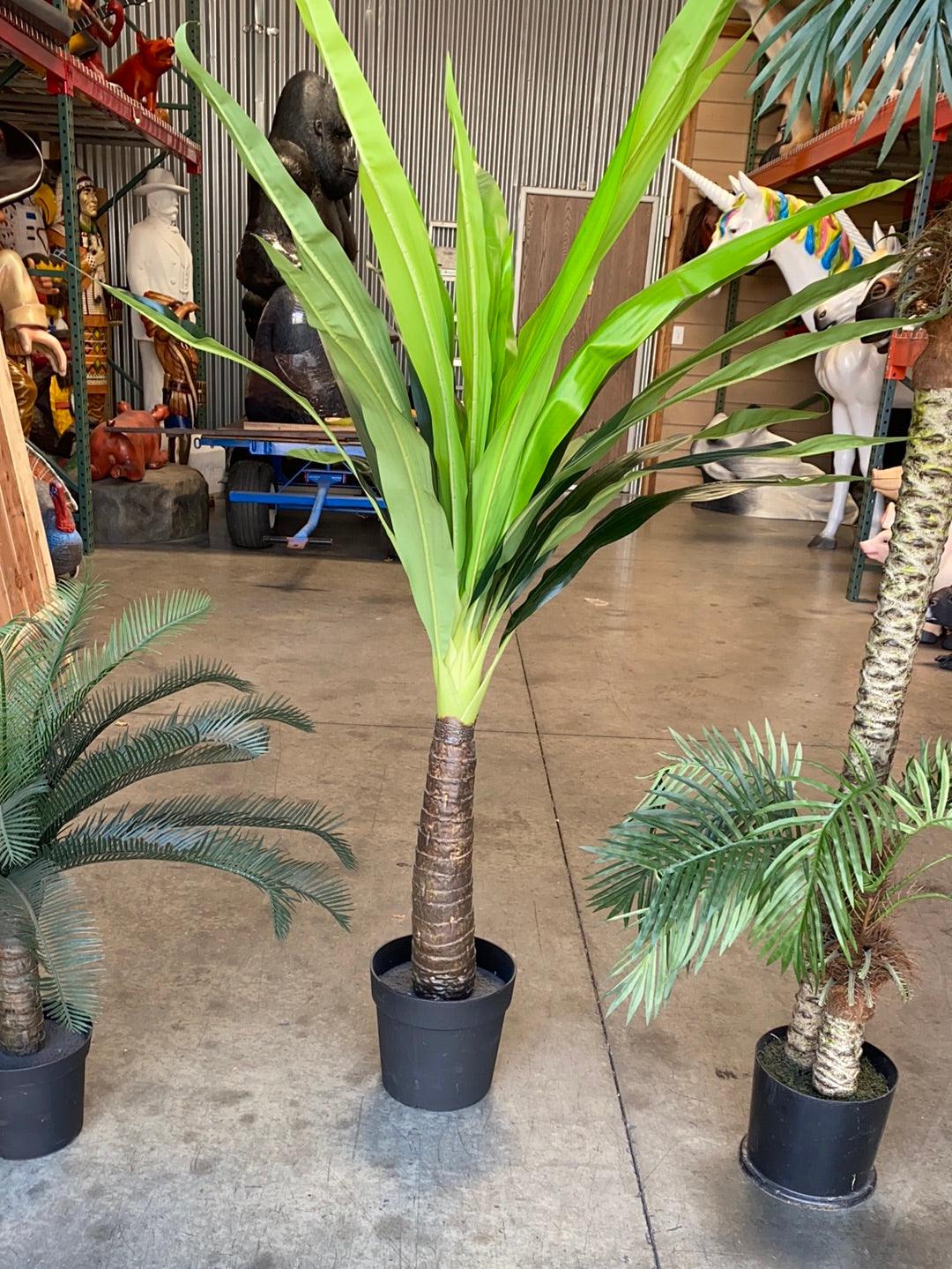 Small Tropical Palm Tree - LM Treasures Prop Rentals 