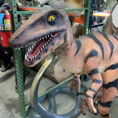 Velociraptor Dinosaur Life Size Statue - LM Treasures Prop Rentals 