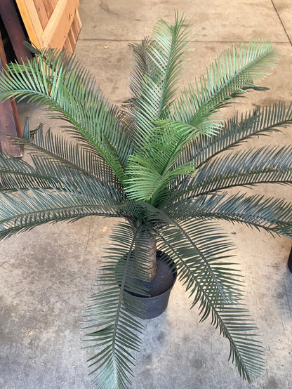 Small Artificial Palm Tree