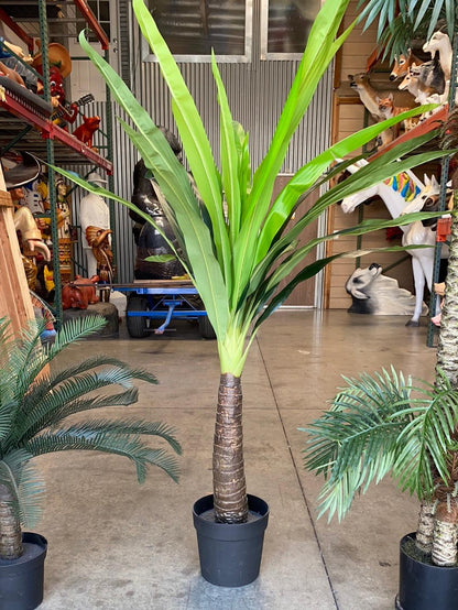 Small Tropical Palm Tree - LM Treasures Prop Rentals 