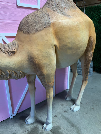 Dromedary Camel Life Size Statue - LM Treasures Prop Rentals 