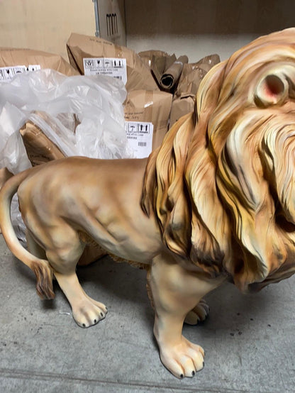 Lion Life Size Statue - LM Treasures Prop Rentals 