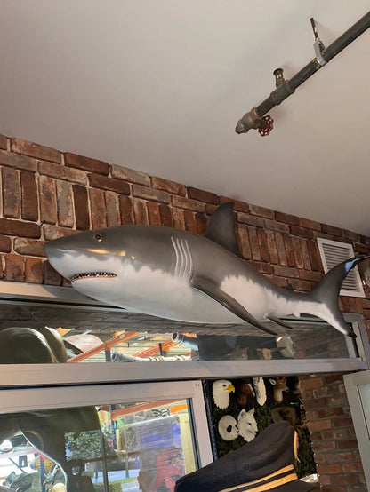 Shark Wall Decor Statue - LM Treasures Prop Rentals 