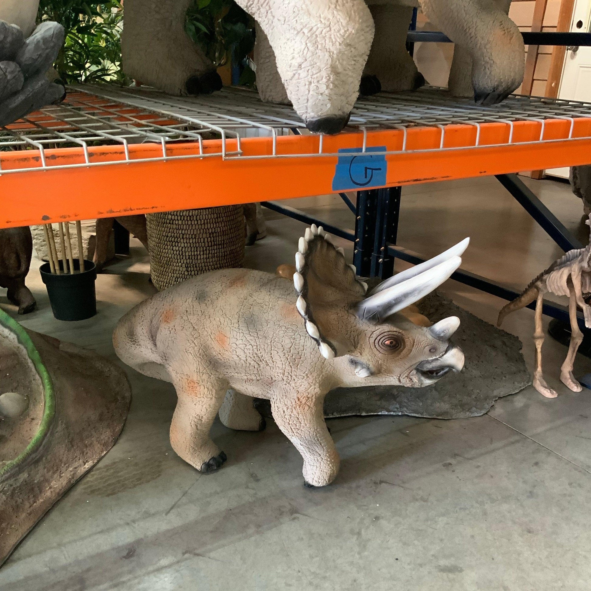 Small Gray Walking Triceratops Dinosaur Statue - LM Treasures Prop Rentals 