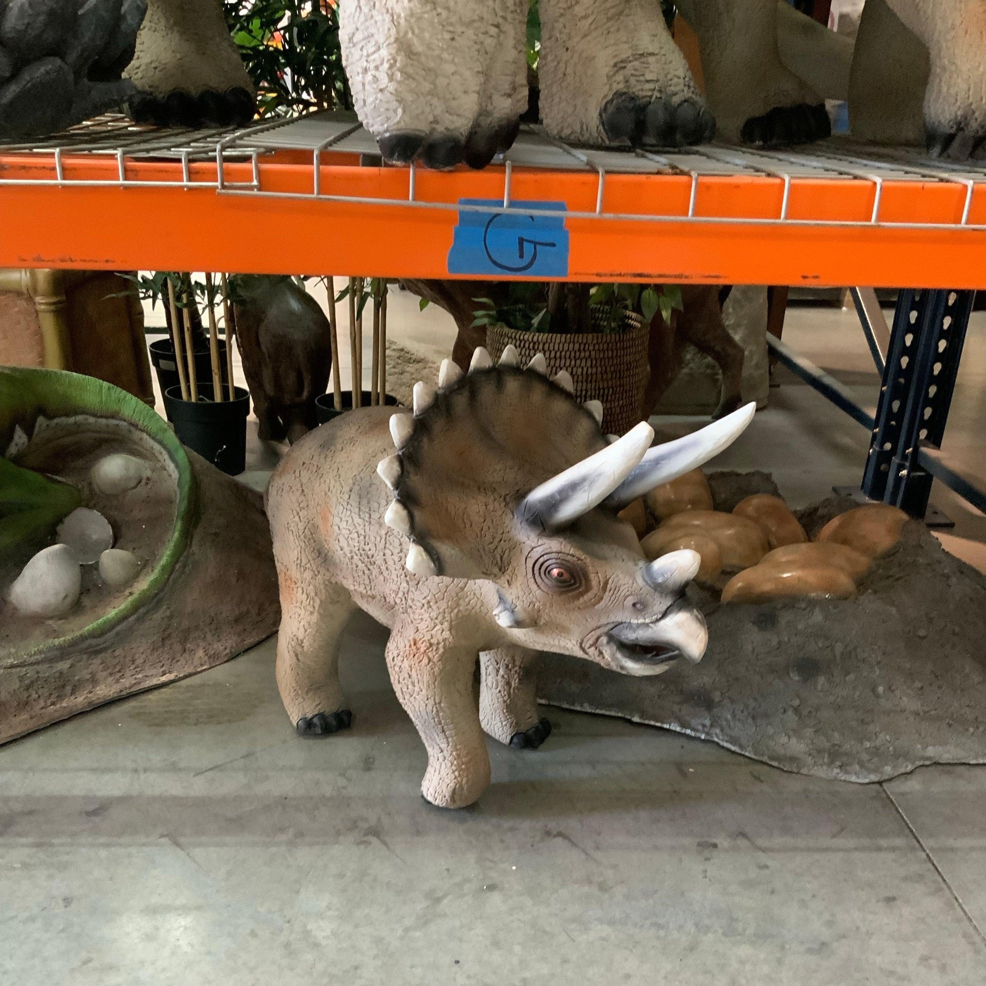 Small Gray Walking Triceratops Dinosaur Statue - LM Treasures Prop Rentals 