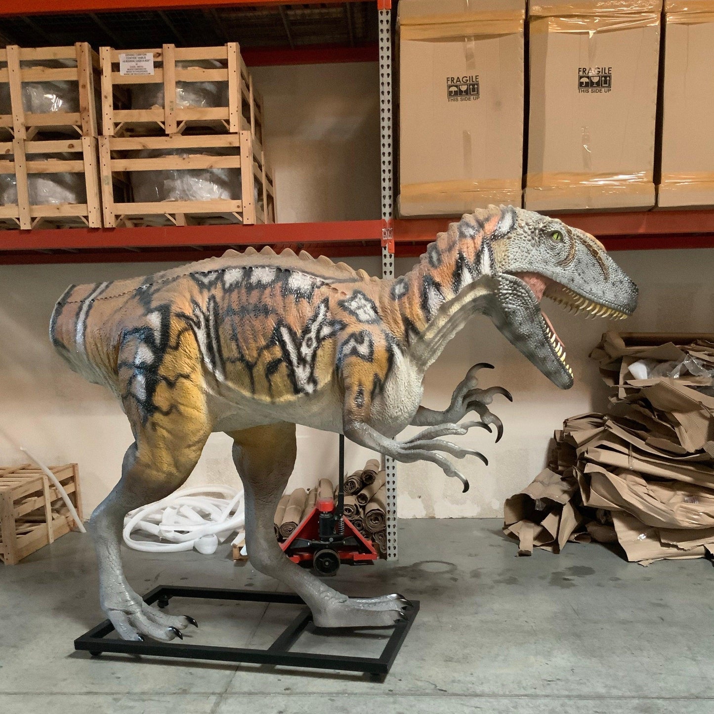 Australovenator Dinosaur Life Size Statue - LM Treasures Prop Rentals 