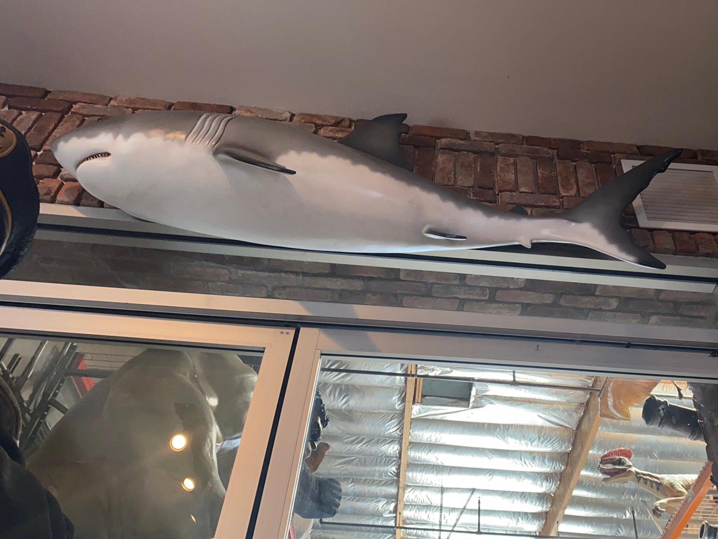 Shark Wall Decor Statue - LM Treasures Prop Rentals 