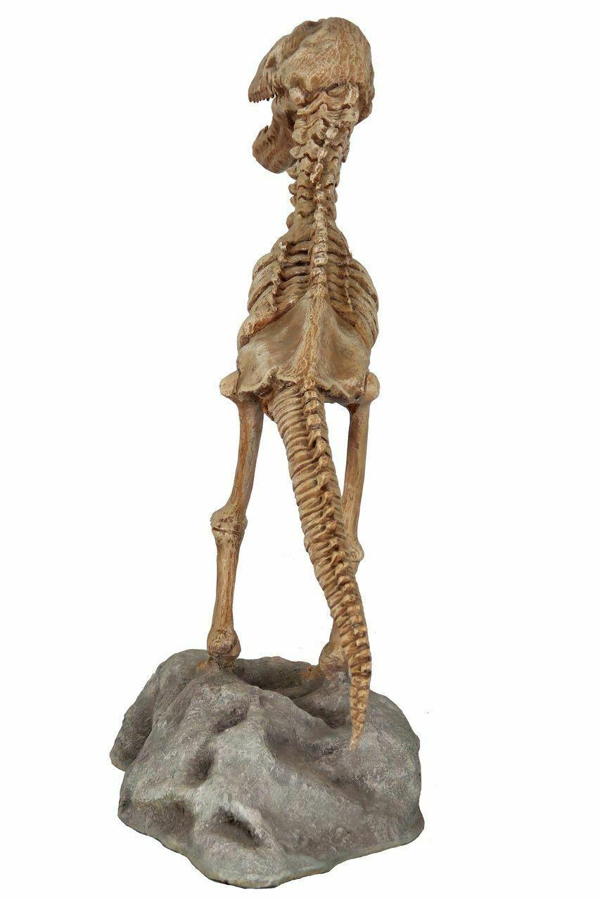 Small T-Rex Dinosaur Skeleton On Base Statue